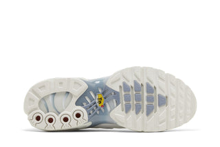 Nike Air Max Plus Ashen Slate