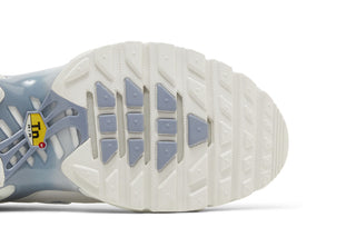 Nike Air Max Plus Ashen Slate