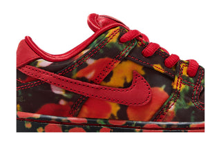 Nike SB Dunk Low The Wizard of Oz Poppy Field (TD)