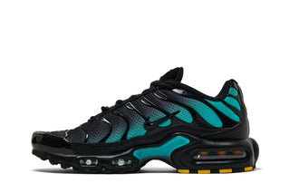Nike Air Max Plus Black Dusty Cactus