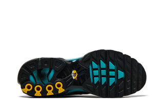 Nike Air Max Plus Black Dusty Cactus