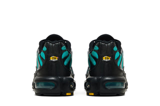 Nike Air Max Plus Black Dusty Cactus