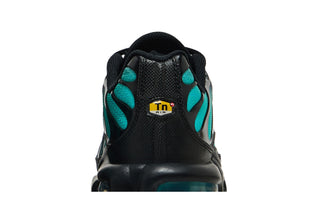 Nike Air Max Plus Black Dusty Cactus