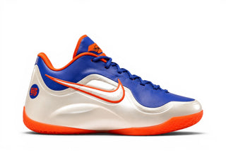 Nike LeBron 23 Hardwood Classics