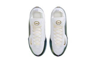 Nike LeBron 23 Elite For The Record