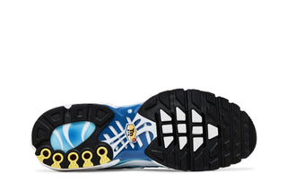 Nike Air Max Plus Sky Blue