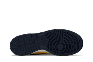 Dunk Low Michigan (2021/2024) (GS)