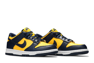 Dunk Low Michigan (2021/2024) (GS)