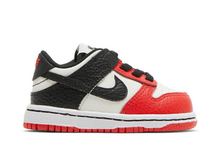Dunk Low EMB NBA 75th Anniversary Chicago (TD)