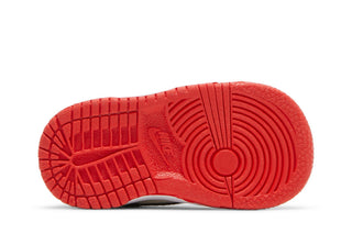 Dunk Low EMB NBA 75th Anniversary Chicago (TD)