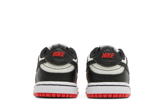 Dunk Low EMB NBA 75th Anniversary Chicago (TD)