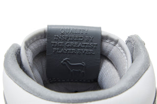 Jordan 1 Retro High OG Stealth