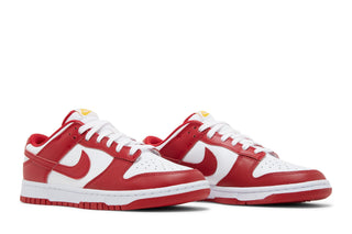 Dunk Low USC